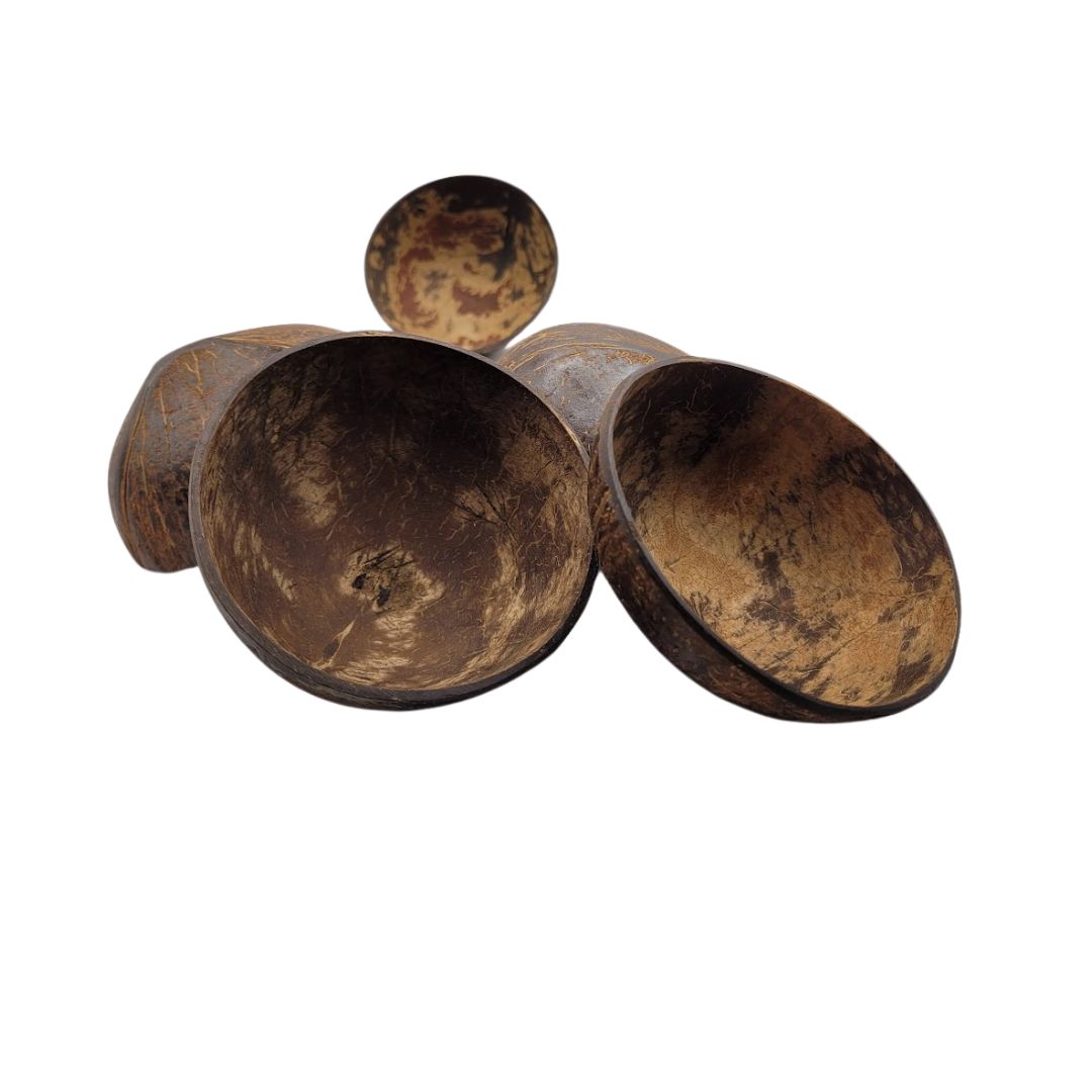 Kava Bowl-coconut