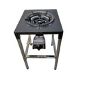 Cast Iron 2-Burner Outdoor Gas Stove with Stainless Steel Stand